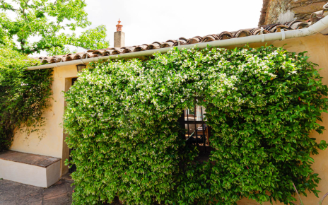 Habitación con acceso desde terraza principal
